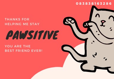 Maxindo Veterinary Teman Sejati Menjaga Hewan Peliharaan Anda