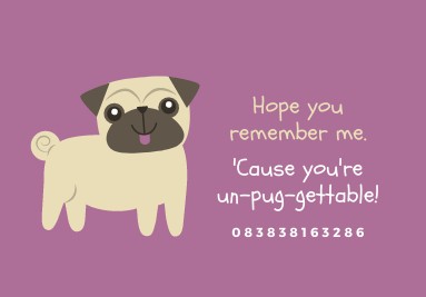 Maxindo Veterinary Perawatan Kucing dan Anjing Terpercaya